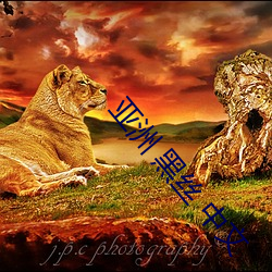 ���� ��˿ ����