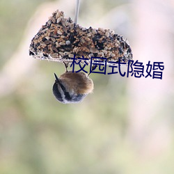 九游会登录j9入口 - 中国官方网站 | 真人游戏第一品牌