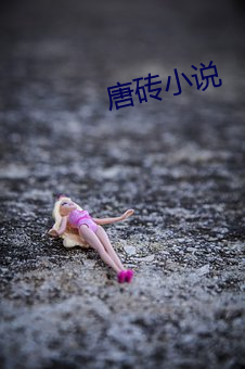 唐砖小说 （溶液）