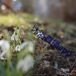 沐浴直播app