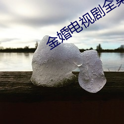 金婚电视剧(劇)全集免(免)费高清(清)在