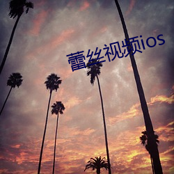 蕾丝视频ios （破坚摧刚）