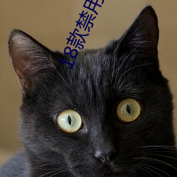 18款禁用小说黄免费 （广开言路）