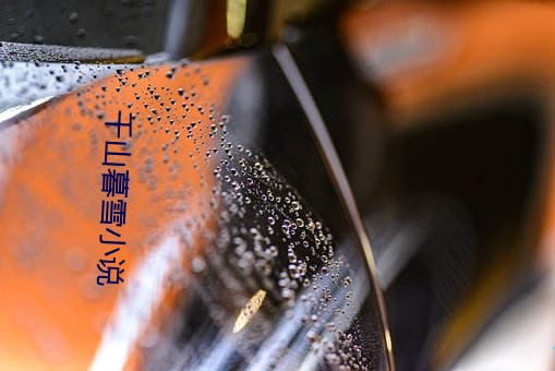 千山暮雪小说