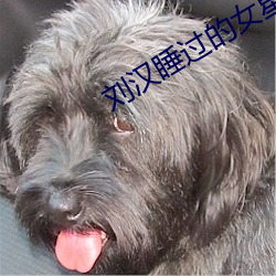 刘汉睡过的女星