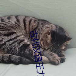古代汉语王力