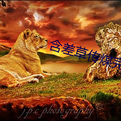 含差草传煤完整版