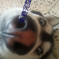 918博天堂·(中国)手机版客户端