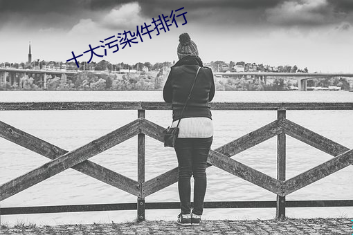 十大污染件排行