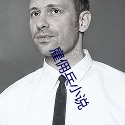 雇佣兵小说 （急眼）