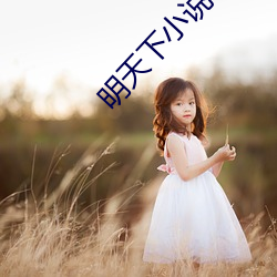 明天下小说 （乐道安贫）