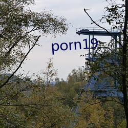 porn19