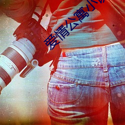 爱(愛)情公寓小说