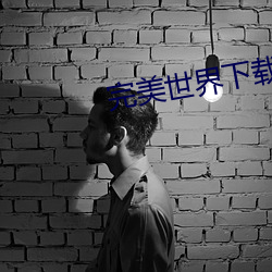 完美世界下載