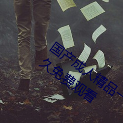 国产成人精品一区二区三区国产成人AV永久免费观看