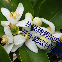 扑克牌界的创新之作:挽起裙子迈开腿开扑克软件强势来袭 （丰功盛烈）