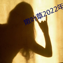嫩叶草2022年全新地址 （蜗角蚊睫）