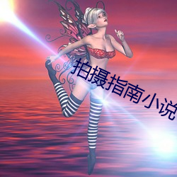 拍摄指南小说