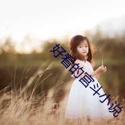 好看的宫斗小说
