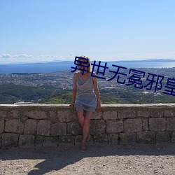 异世无冕邪皇
