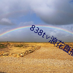 838t∨浪花(huā)直播ios