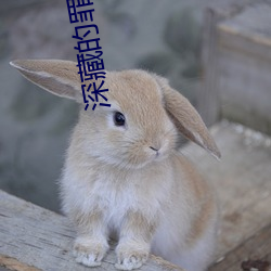 深(shēn)藏的(de)罪恶(è)