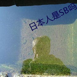日本人是SB嗎