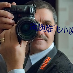 插翅难飞小说 （专心）