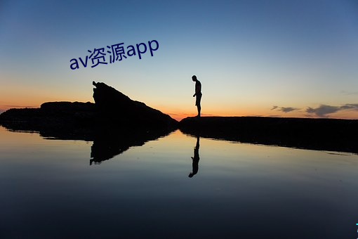 av资(資)源app