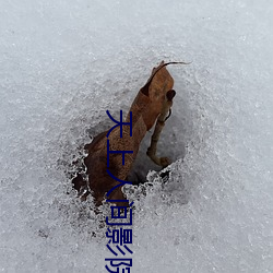 天上人间影院