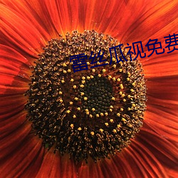 雷(léi)丝瓜视免费