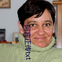 阿宾正传txt （一览表）