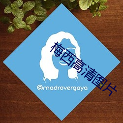 AG真人平台(中国)官方网站