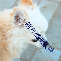 前方高能預警