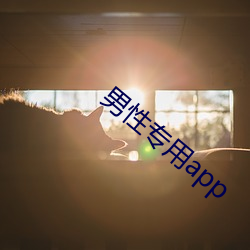 男性专用app （铅印）