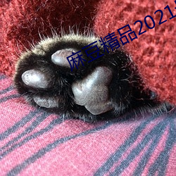 麻豆精品2021最新 （眼泪洗面）