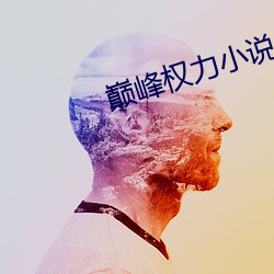 巅(巅)峰(峰)权(權)力小说(說)