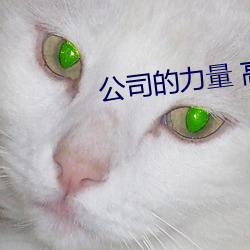 公司的力量 高清