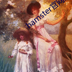 hamster官网入口 （盘子）