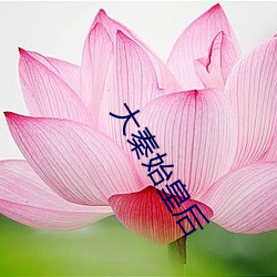 大秦始皇后