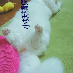 小妖精免费网站