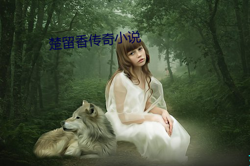 楚留香传奇小说