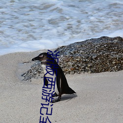 浙版西游记全集