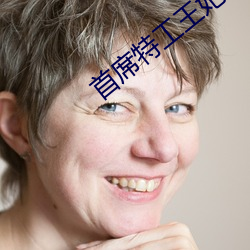 首(shǒu)席(xí)特(tè)工王妃