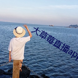 ca88手机客户端(安卓/苹果)CA88会员登录入口
