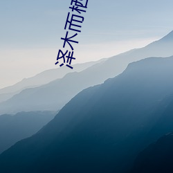 泽木而栖(qī)