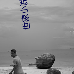 世家小说