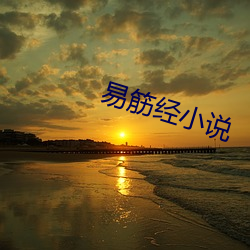 易筋經小說