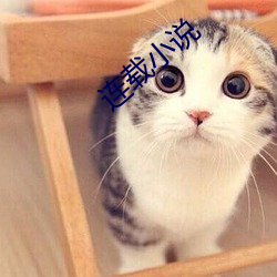 连载小说 （触地号天）