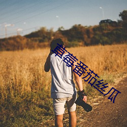 草莓番茄丝瓜(瓜)